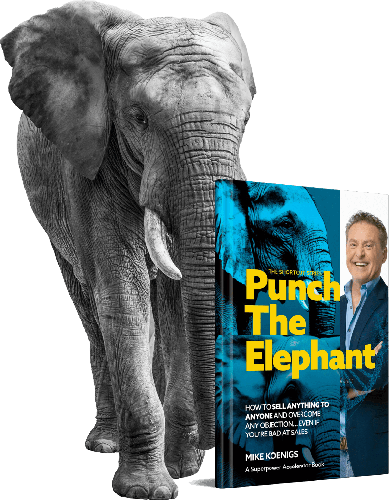 Punch The Elephant